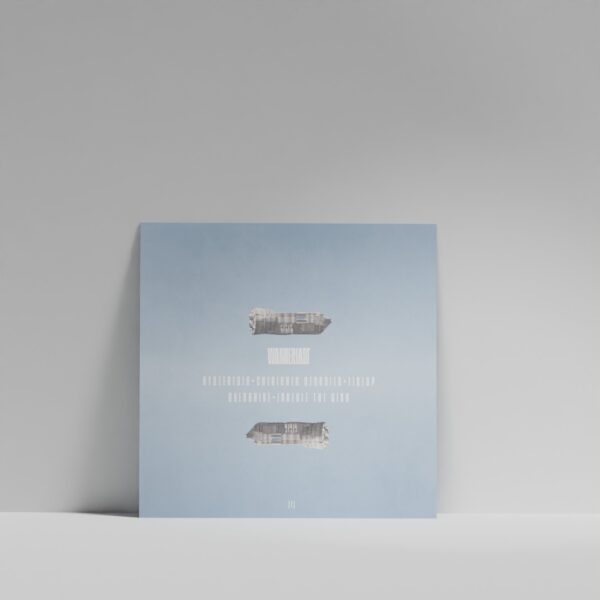 Echoes of the Future (Clear Vinyl) - immagine 2